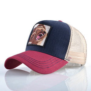 8 Kinds cap