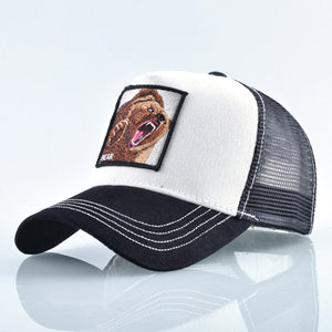 8 Kinds cap