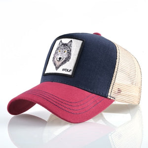8 Kinds cap